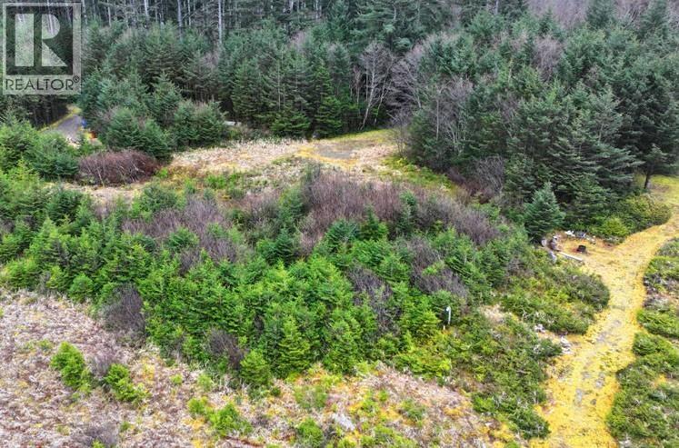 12531 Tow Hill Road, Masset, British Columbia  V0T 1M0 - Photo 15 - R3112988