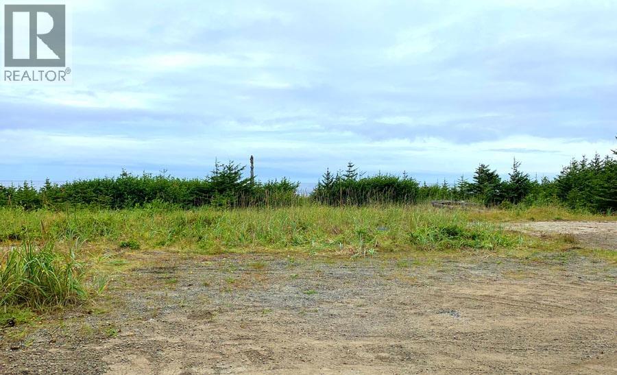 12531 Tow Hill Road, Masset, British Columbia  V0T 1M0 - Photo 20 - R3112988