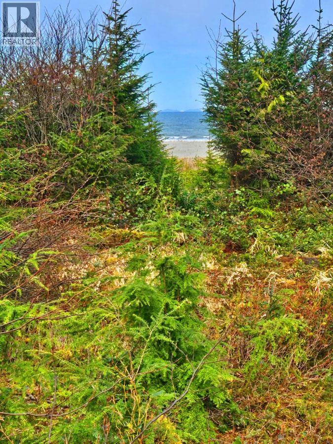 12531 Tow Hill Road, Masset, British Columbia  V0T 1M0 - Photo 8 - R3112988