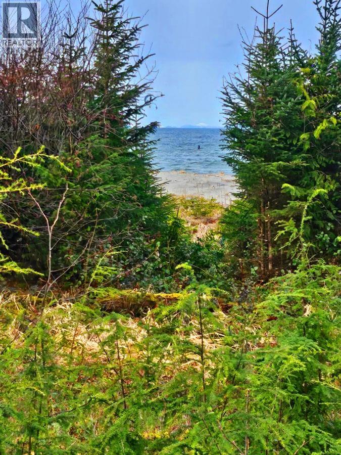 12531 Tow Hill Road, Masset, British Columbia  V0T 1M0 - Photo 14 - R3112988