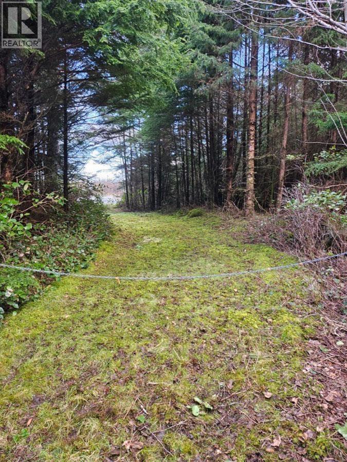 12531 Tow Hill Road, Masset, British Columbia  V0T 1M0 - Photo 9 - R3112988