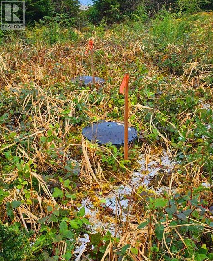 12531 Tow Hill Road, Masset, British Columbia  V0T 1M0 - Photo 6 - R3112988