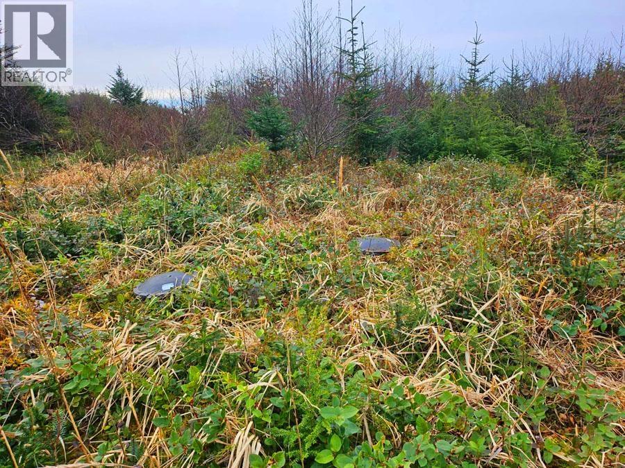 12531 Tow Hill Road, Masset, British Columbia  V0T 1M0 - Photo 3 - R3112988