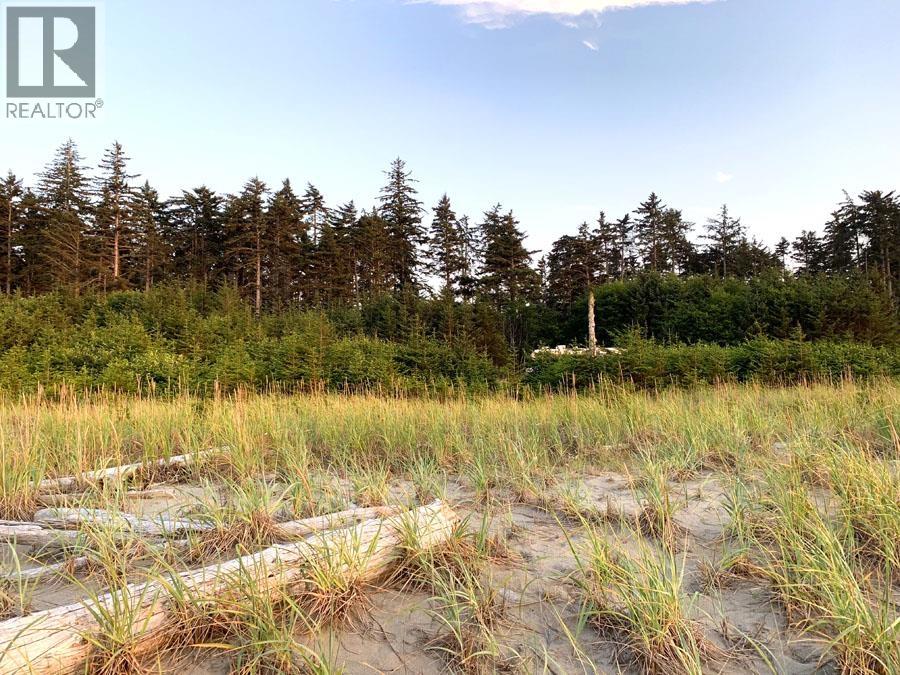 12531 Tow Hill Road, Masset, British Columbia  V0T 1M0 - Photo 4 - R3112988