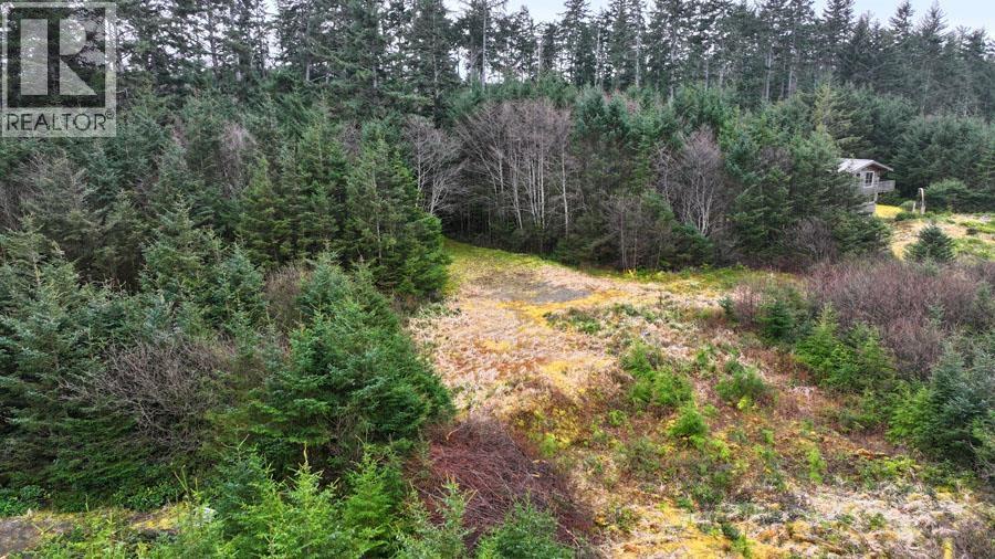 12531 Tow Hill Road, Masset, British Columbia  V0T 1M0 - Photo 13 - R3112988