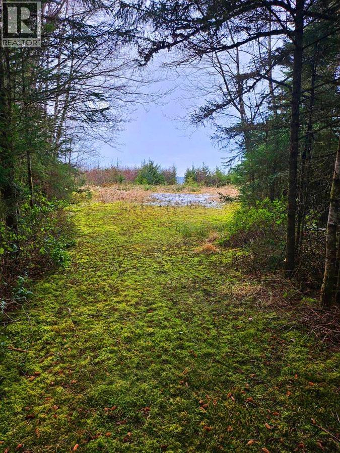 12531 Tow Hill Road, Masset, British Columbia  V0T 1M0 - Photo 7 - R3112988