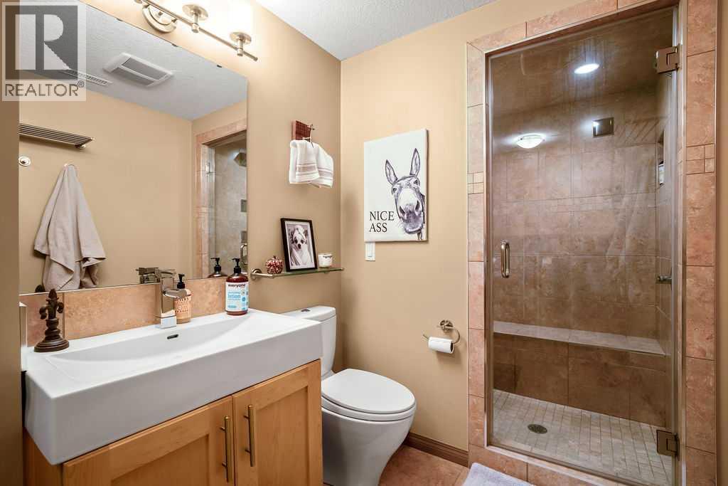 49 Spring Meadows Bay, Okotoks, Alberta  T1S 2G8 - Photo 21 - A2302953