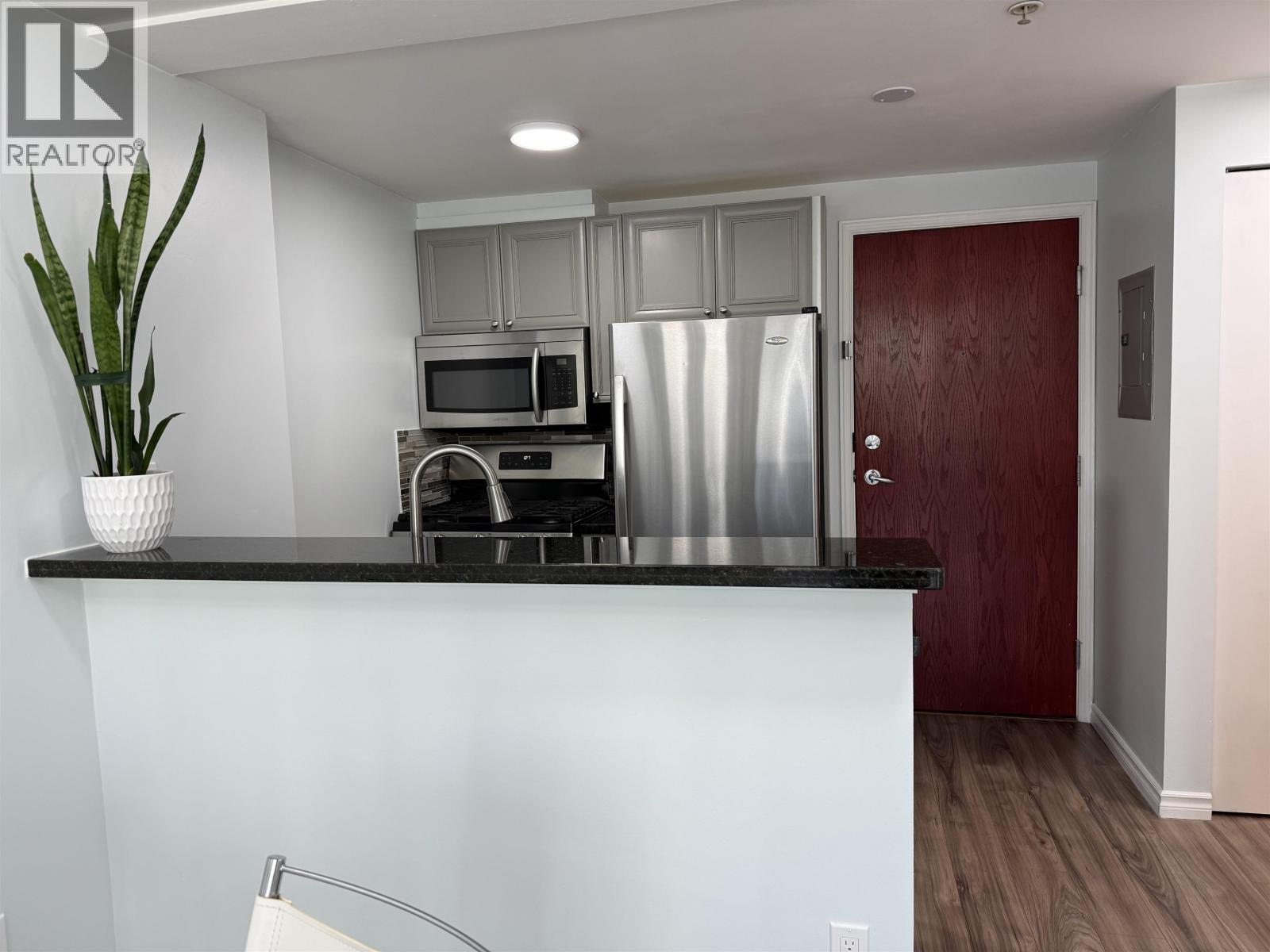 502 928 Richards Street, Vancouver, British Columbia  V6B 6P6 - Photo 4 - R3113471