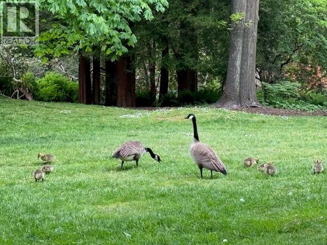 1201 2077 Nelson Street, Vancouver, British Columbia  V6G 2Y2 - Photo 27 - R3113507