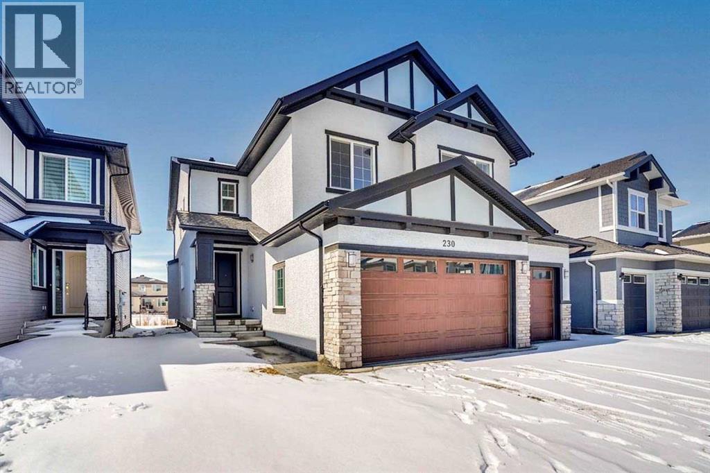 230 Kinniburgh Loop, Chestermere, Alberta  T1X 2S7 - Photo 3 - A2297172