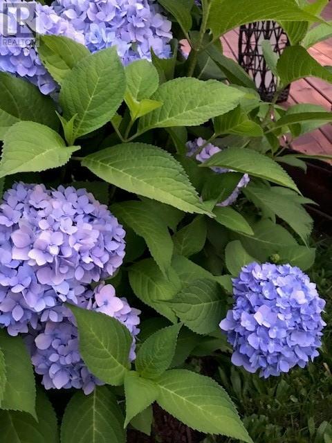 28 Victor Street, Sudbury, Ontario  P3B 3R2 - Photo 31 - 2127197