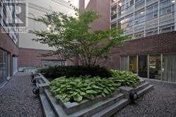 210 - 11 St. Joseph Street, Toronto, Ontario  M4Y 3G4 - Photo 3 - C13021904