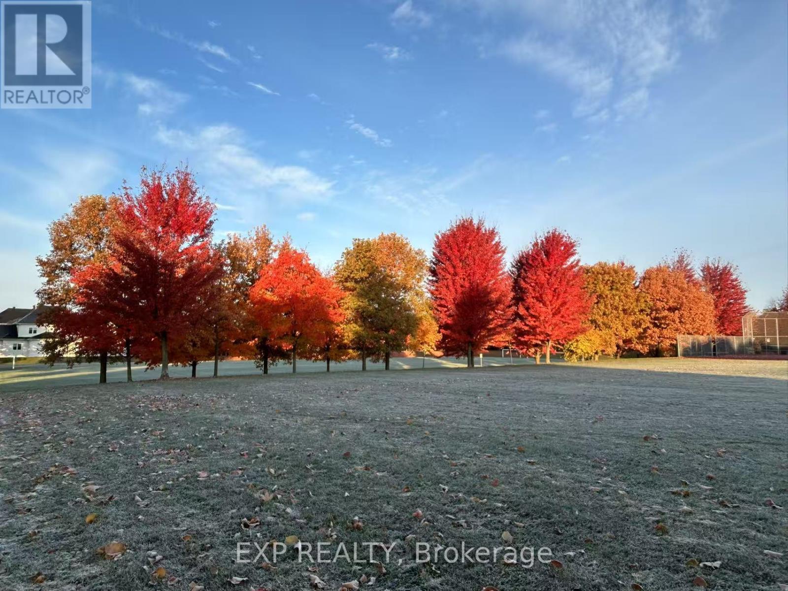 69 Freeman Williams Street, Markham, Ontario  L6C 3K4 - Photo 43 - N13021992