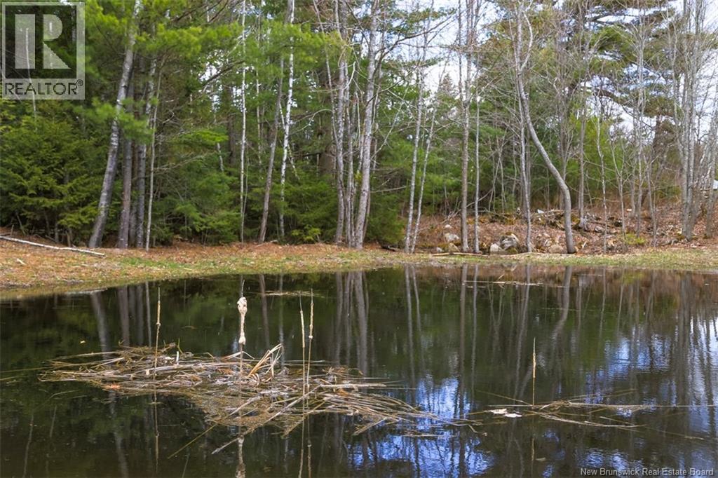 28 Cynthia Drive, Nerepis, New Brunswick  E5K 3R2 - Photo 7 - NB135176