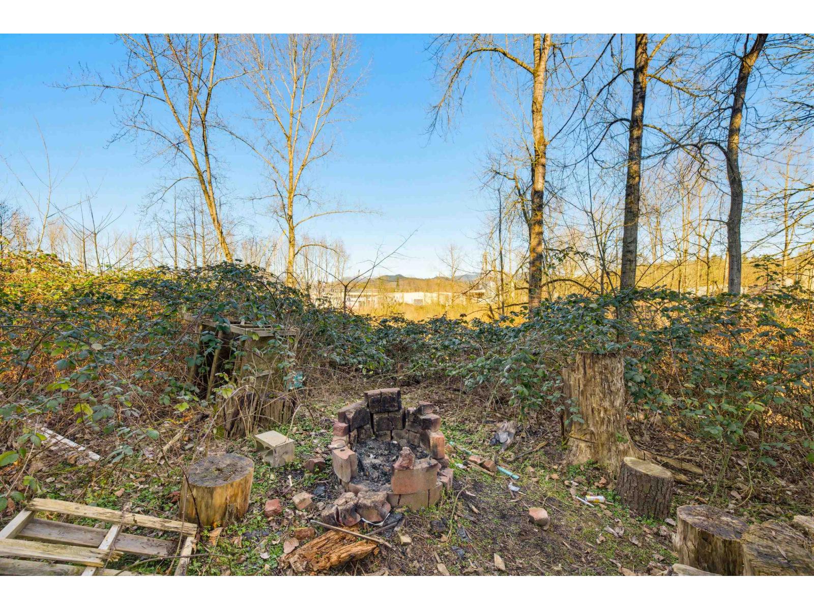 33721 Morey Avenue, Abbotsford, British Columbia  V2S 2W5 - Photo 39 - R3113053