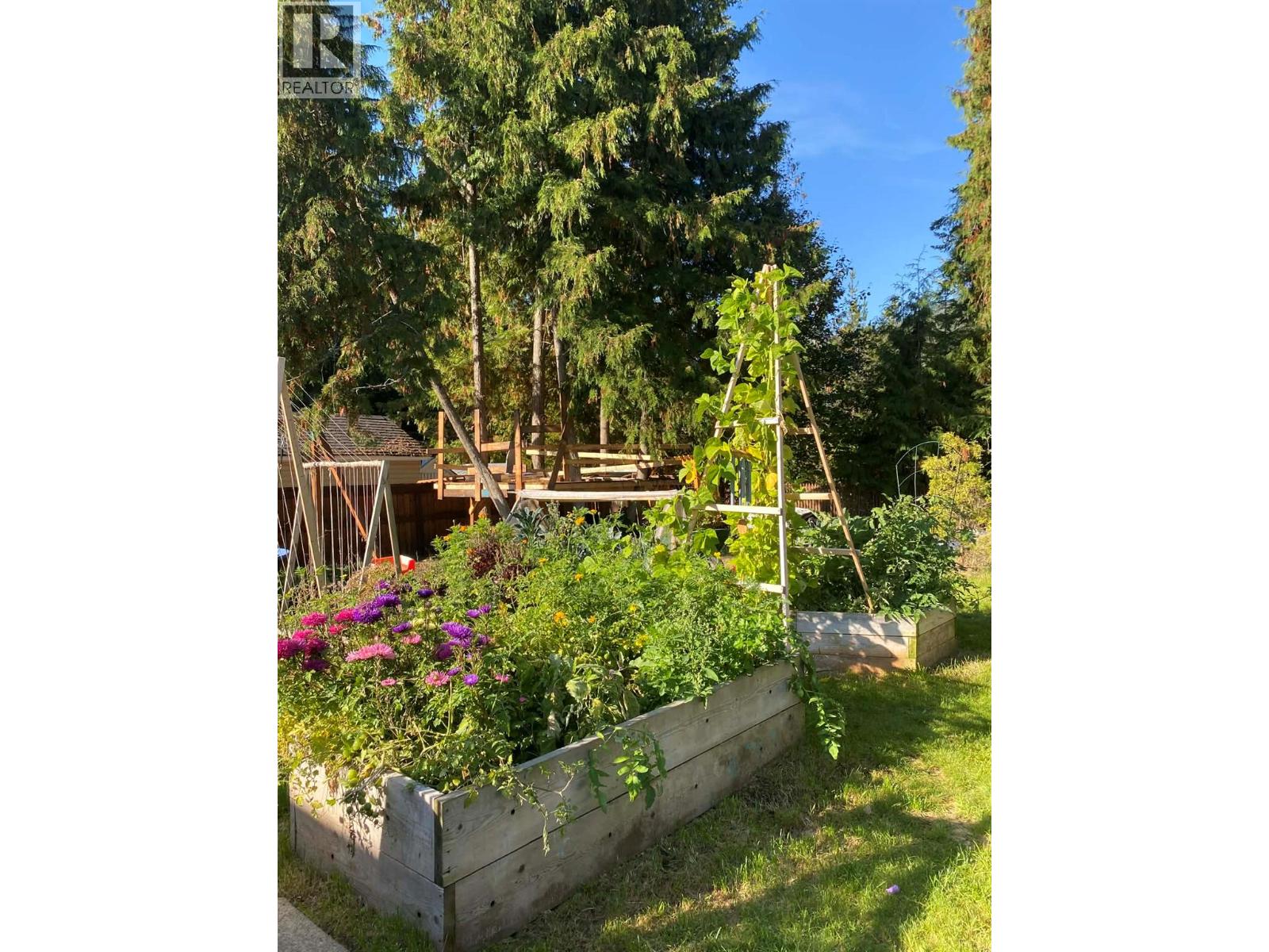 1007 Harold Street, Slocan, British Columbia  V0G 2C0 - Photo 26 - 10383250