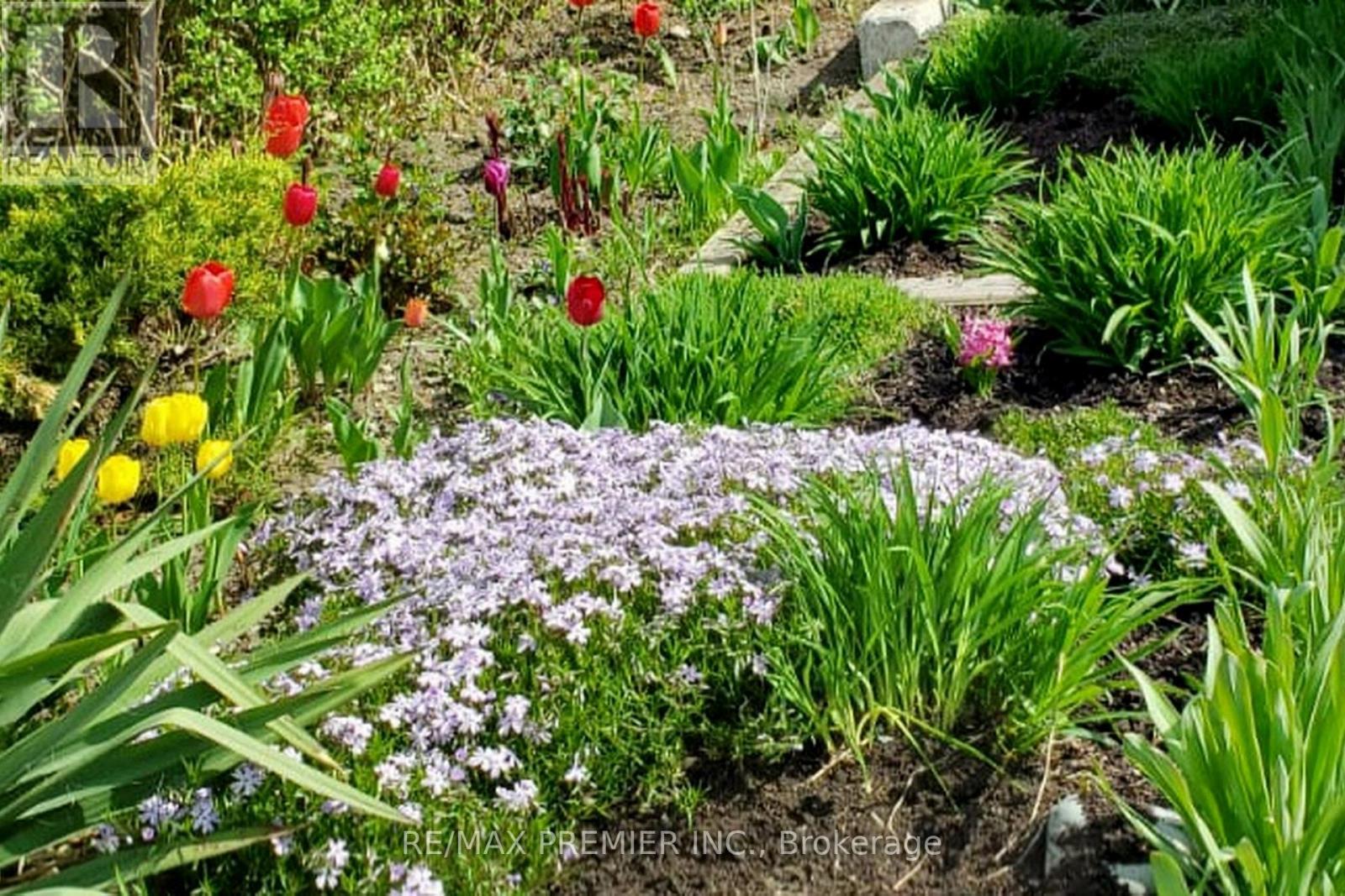 9 Tilden Crescent, Toronto, Ontario  M9P 1V6 - Photo 44 - W13021554