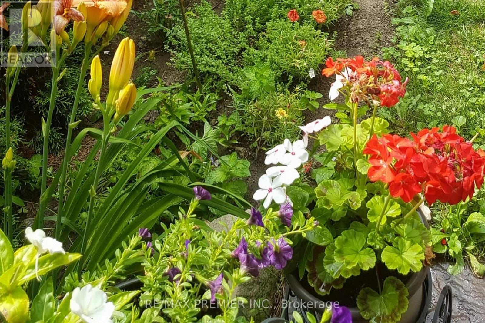 9 Tilden Crescent, Toronto, Ontario  M9P 1V6 - Photo 48 - W13021554