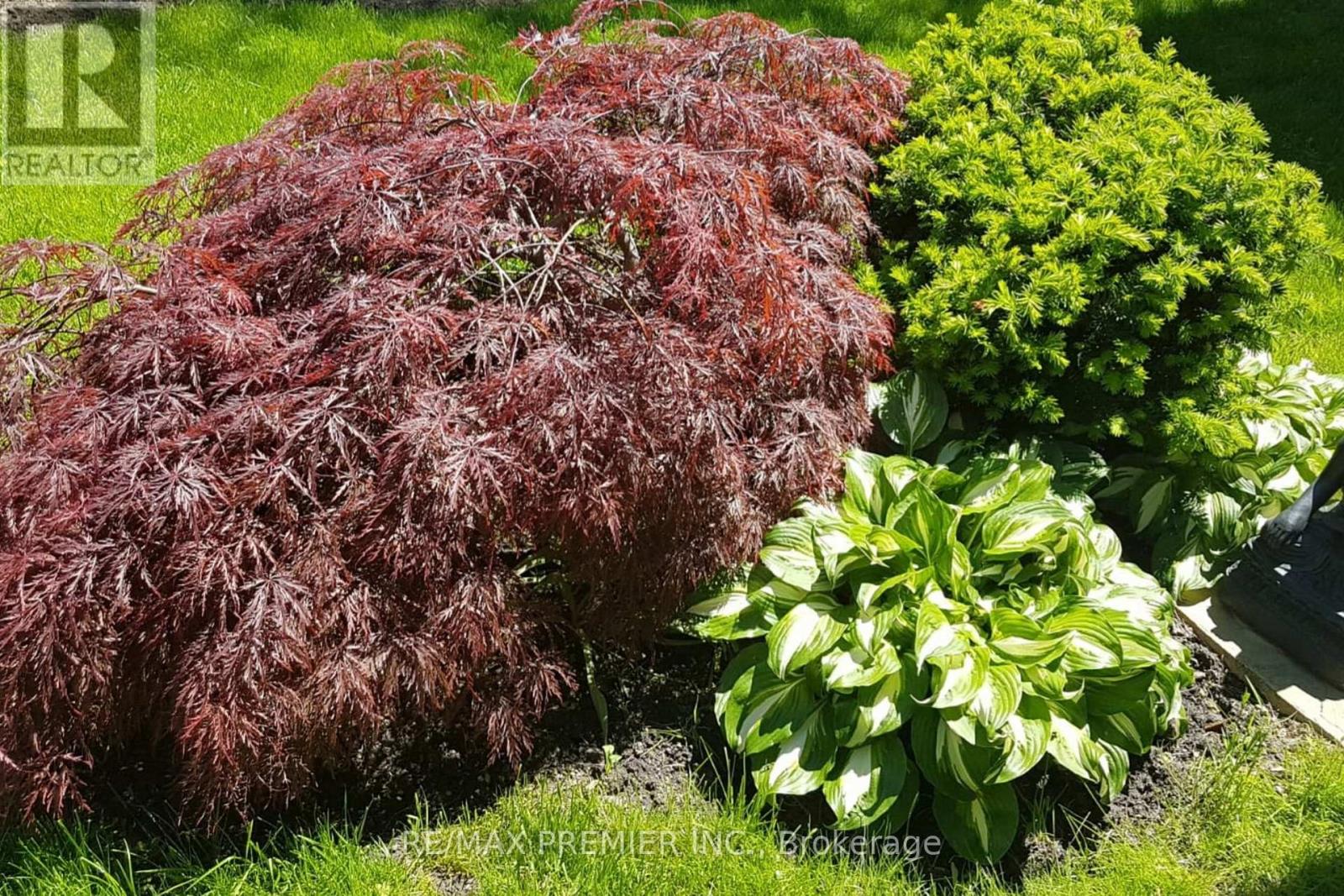 9 Tilden Crescent, Toronto, Ontario  M9P 1V6 - Photo 49 - W13021554