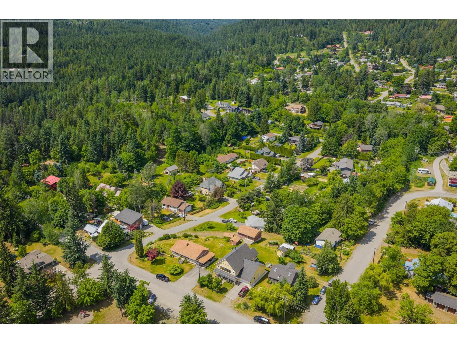 509 6th Street, Kaslo, British Columbia  V0G 1M0 - Photo 5 - 10383125