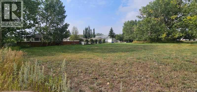 3 Oxford Drive, Carbon, Alberta  T0J 0L0 - Photo 6 - A2296952