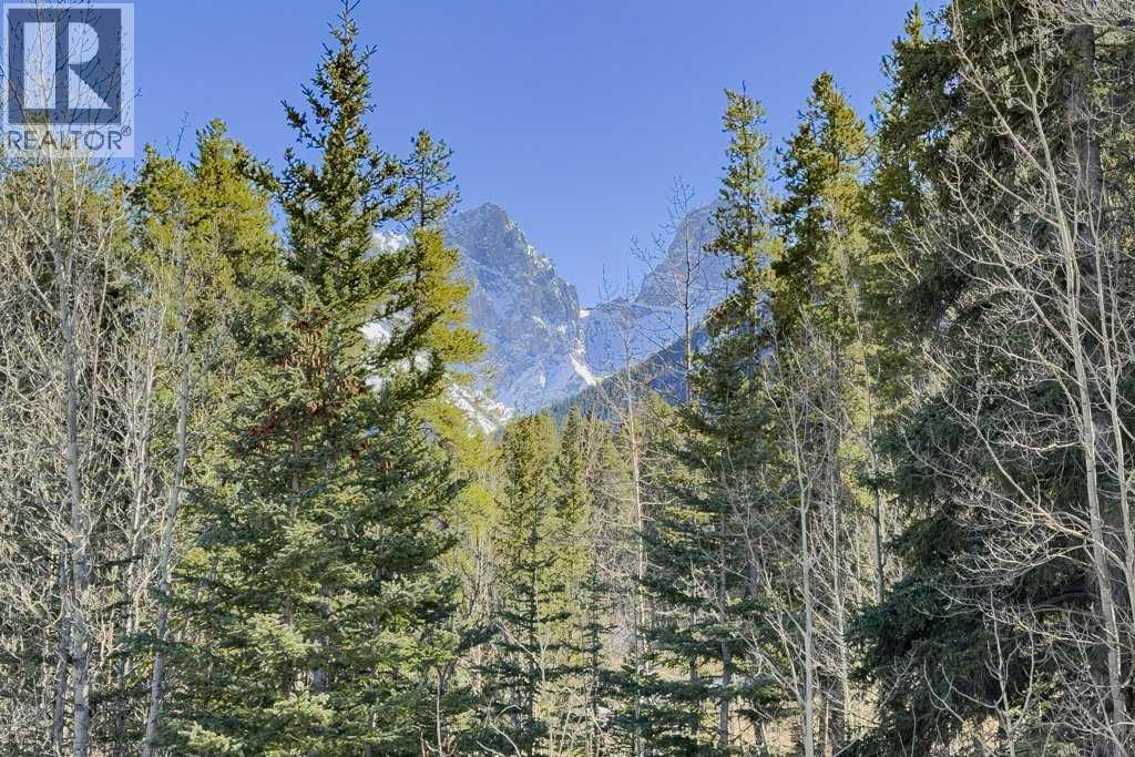 49, 127 Carey, Canmore, Alberta  T1W 2R3 - Photo 22 - A2301101