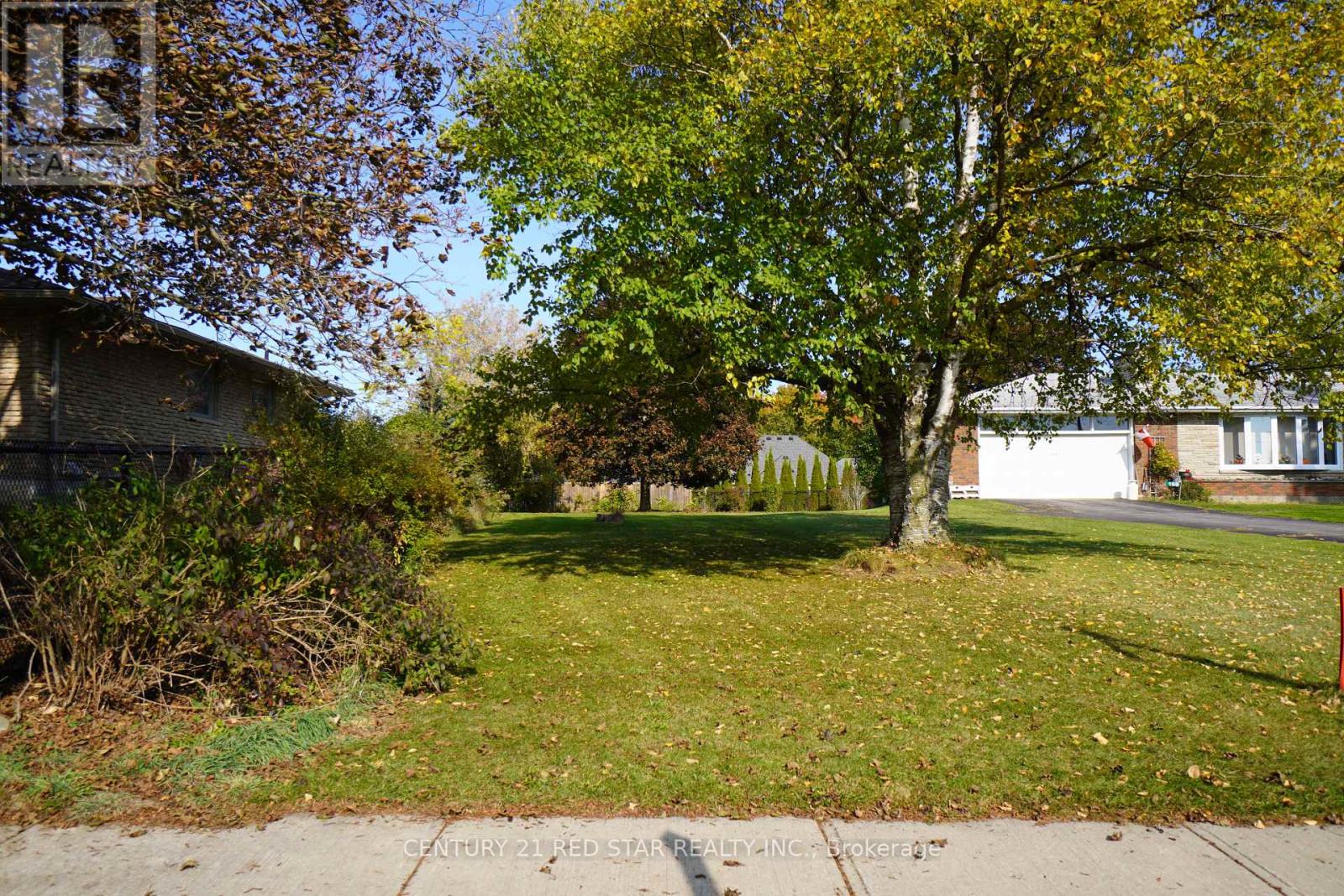 157 Churchill Road S, Halton Hills, Ontario  L7J 2H9 - Photo 4 - W13022180