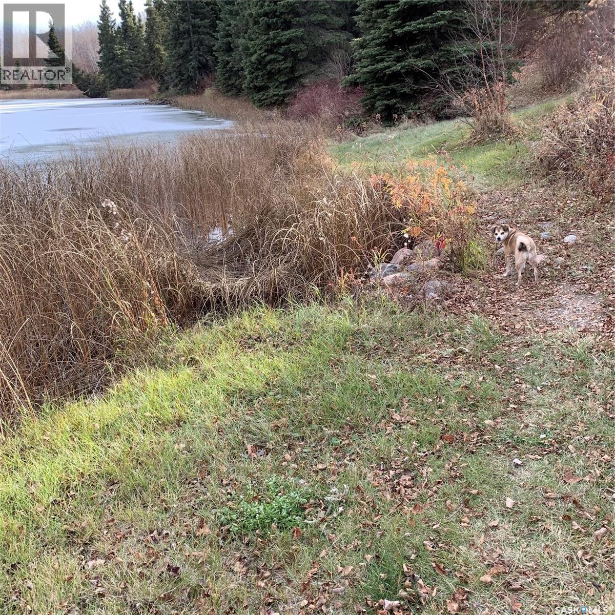 13 Jensen Bay, Canwood Rm No. 494, Saskatchewan  S0J 0K0 - Photo 32 - SK032100