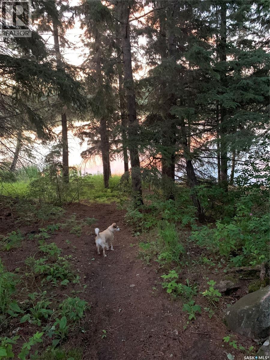 13 Jensen Bay, Canwood Rm No. 494, Saskatchewan  S0J 0K0 - Photo 31 - SK032100