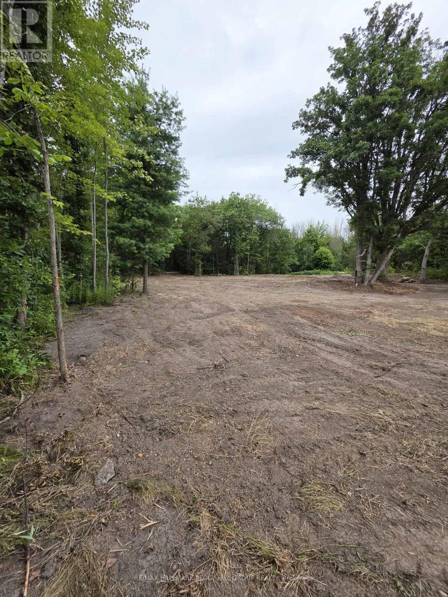 88 Musky Bay Road, Georgian Bay (Baxter), Ontario  L0K 1S0 - Photo 4 - X13022024