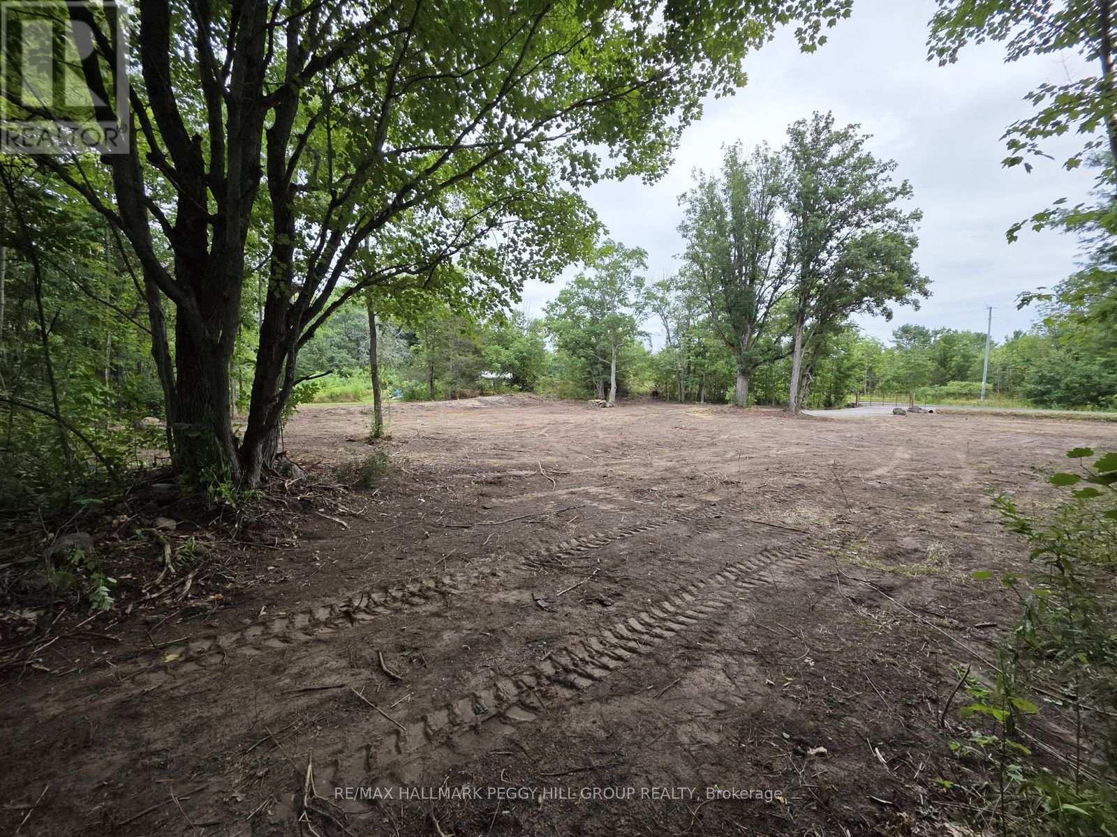 88 Musky Bay Road, Georgian Bay (Baxter), Ontario  L0K 1S0 - Photo 5 - X13022024