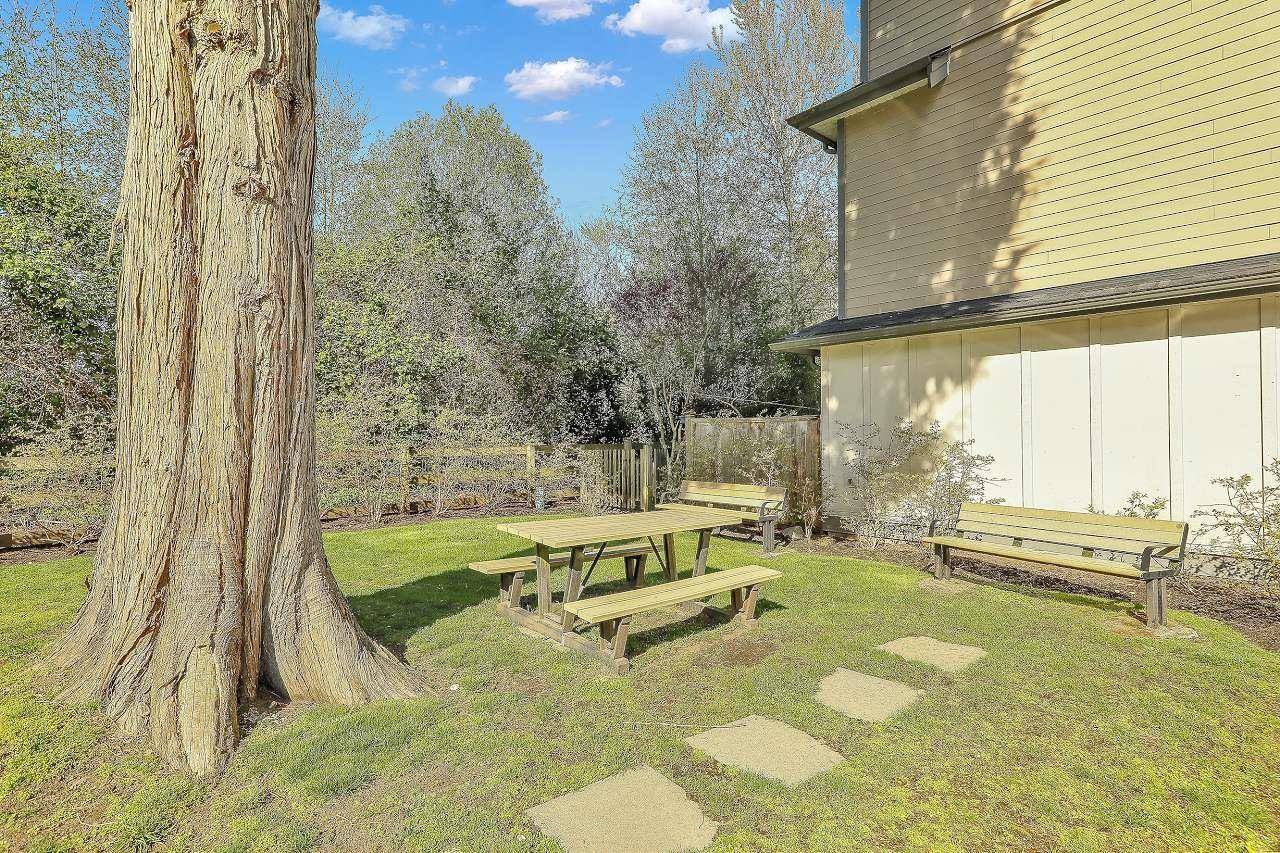 17 6971 122 Street, Surrey, British Columbia  V3W 1B6 - Photo 34 - R3113158
