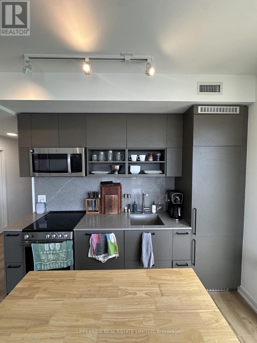 2010 - 135 East Liberty Street, Toronto, Ontario  M6K 0G7 - Photo 3 - C13022332