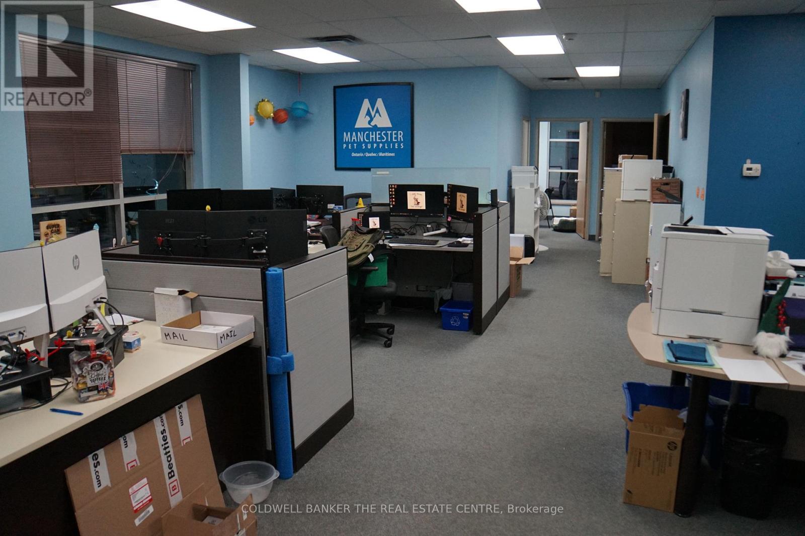 Unit A - 349 Henry Street, Brantford, Ontario  N3S 7V6 - Photo 3 - X12714584