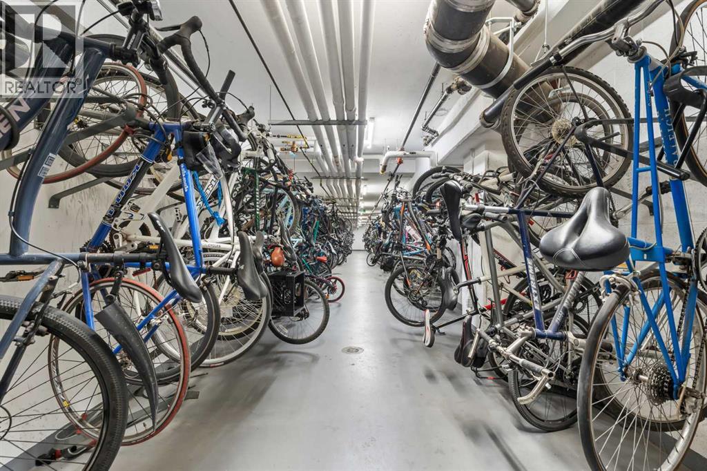 1605, 1111 10 Street Sw, Calgary, Alberta  T2R 1E3 - Photo 35 - A2297993