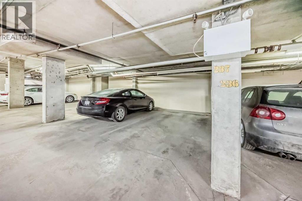 234, 2233 34 Avenue Sw, Calgary, Alberta  T2T 6N2 - Photo 42 - A2298740