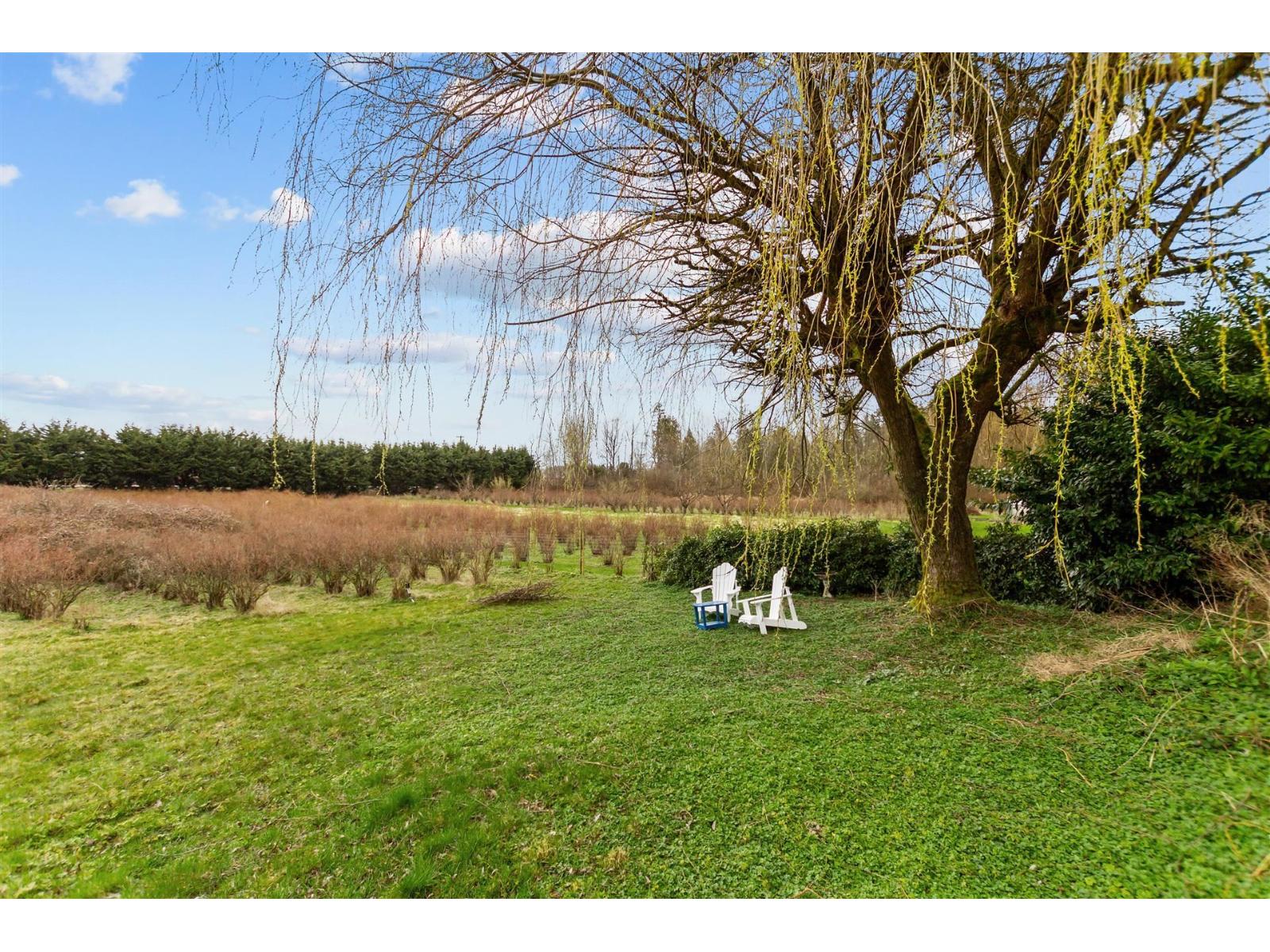 17325 31 Avenue, Surrey, British Columbia  V3Z 0C2 - Photo 3 - R3113673