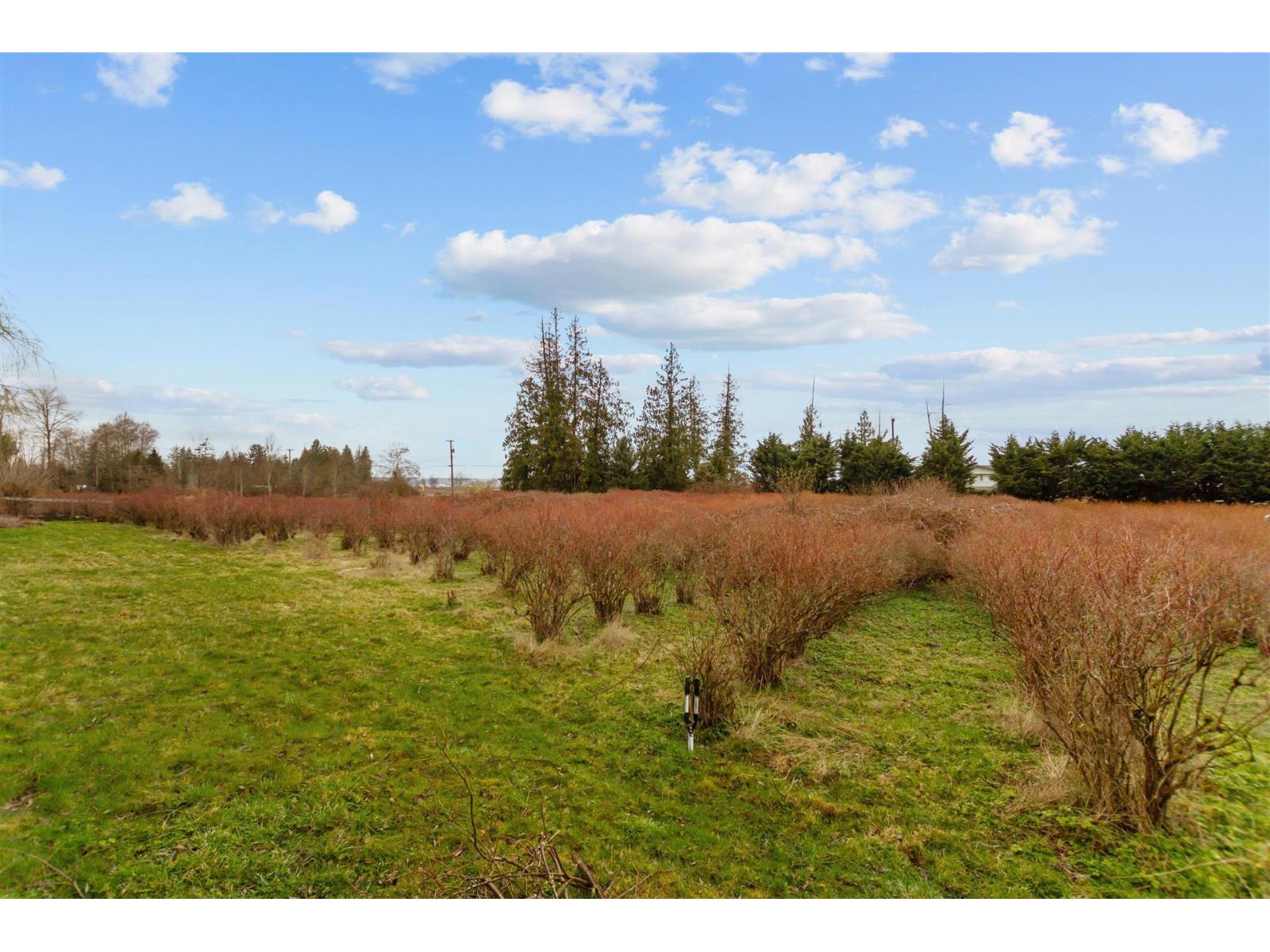 17325 31 Avenue, Surrey, British Columbia  V3Z 0C2 - Photo 5 - R3113673