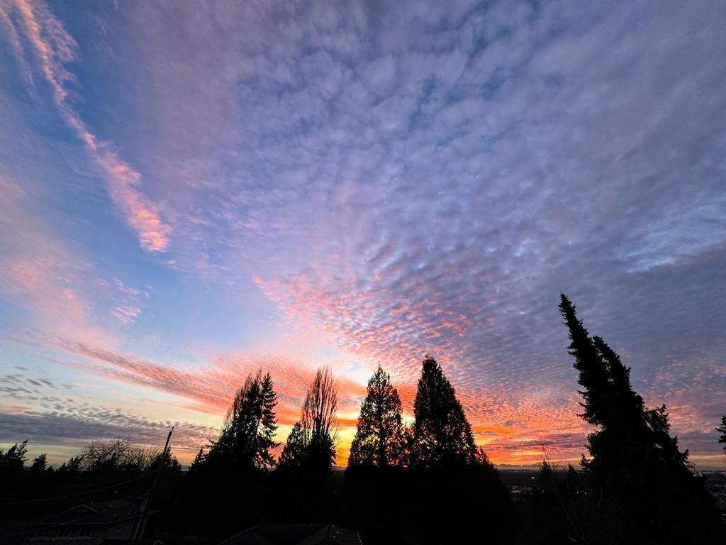 10671 Westside Drive, Delta, British Columbia  V4C 1R5 - Photo 30 - R3113231