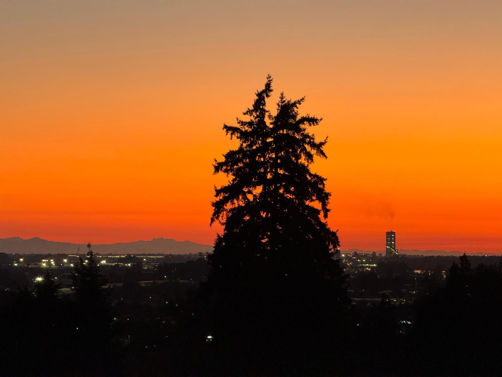 10671 Westside Drive, Delta, British Columbia  V4C 1R5 - Photo 31 - R3113231