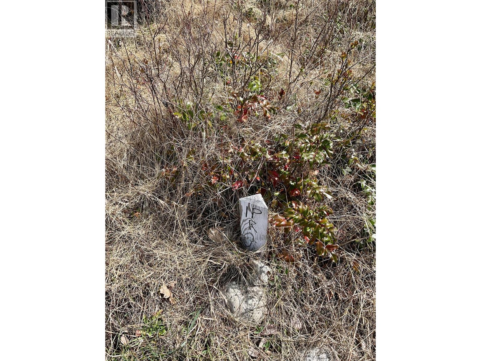 451 Ponderosa Lane, Greenwood, British Columbia  V0H 1J0 - Photo 7 - 10379708