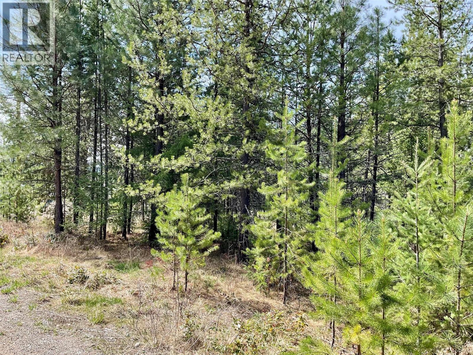 451 Ponderosa Lane, Greenwood, British Columbia  V0H 1J0 - Photo 3 - 10379708