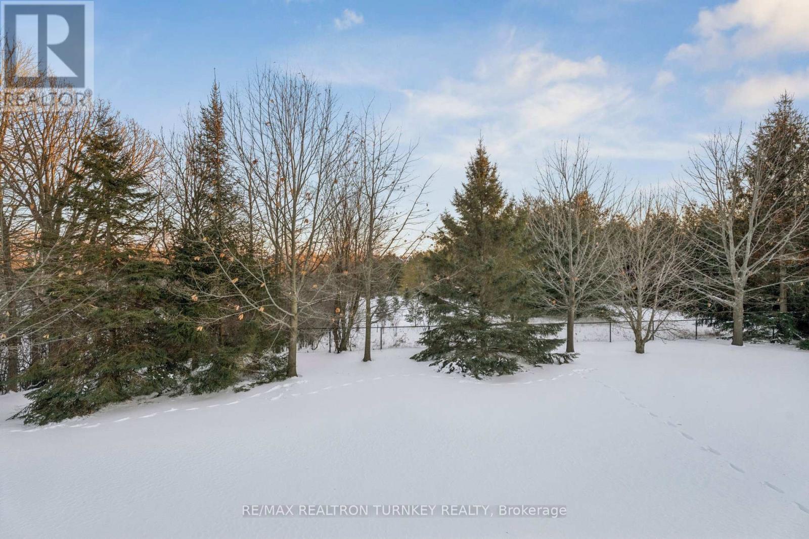 440 Morley Cook Crescent, Newmarket, Ontario  L3X 2M3 - Photo 38 - N12839592