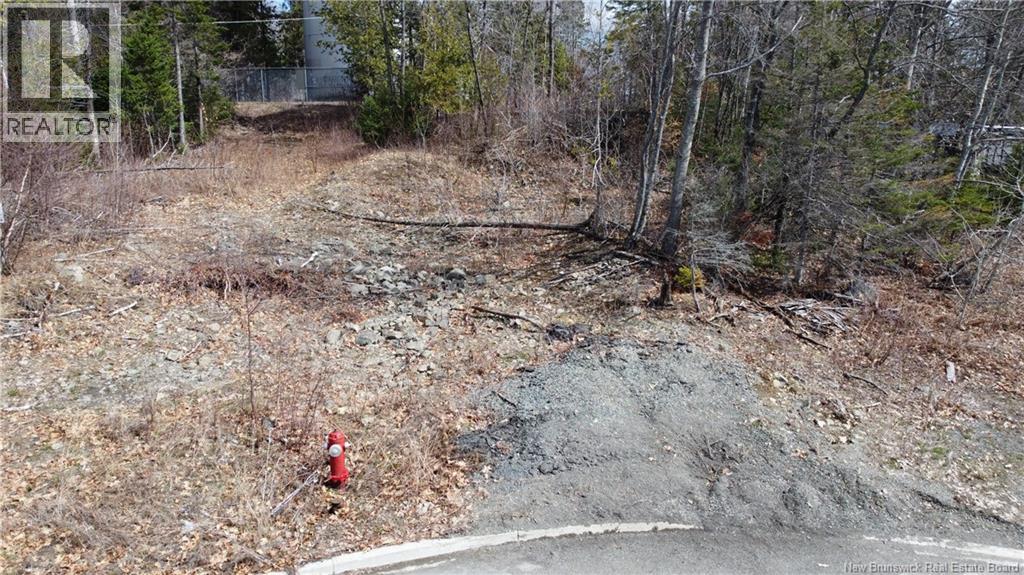 0 Riverview Crescent, Woodstock, New Brunswick  E7M 1L3 - Photo 4 - NB137601