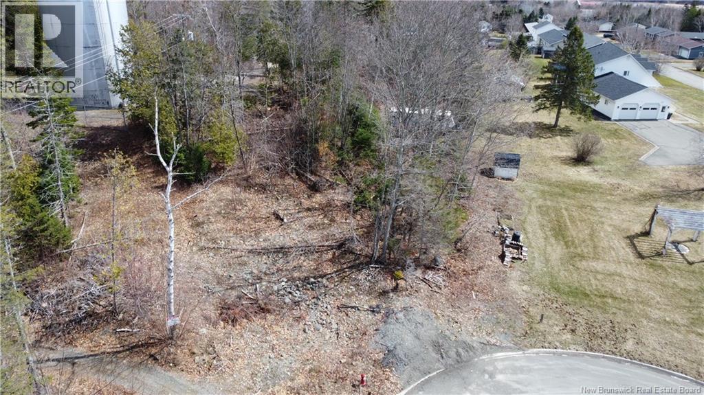 0 Riverview Crescent, Woodstock, New Brunswick  E7M 1L3 - Photo 3 - NB137601