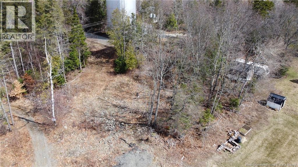 0 Riverview Crescent, Woodstock, New Brunswick  E7M 1L3 - Photo 2 - NB137601