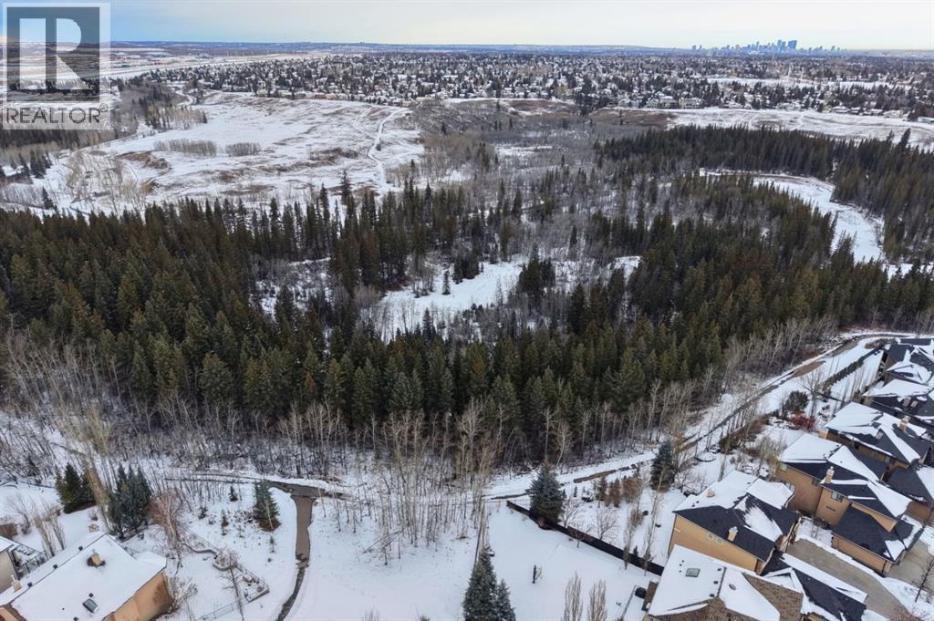 2735 Evercreek Bluffs Way Sw, Calgary, Alberta  T2Y 4P6 - Photo 48 - A2294232