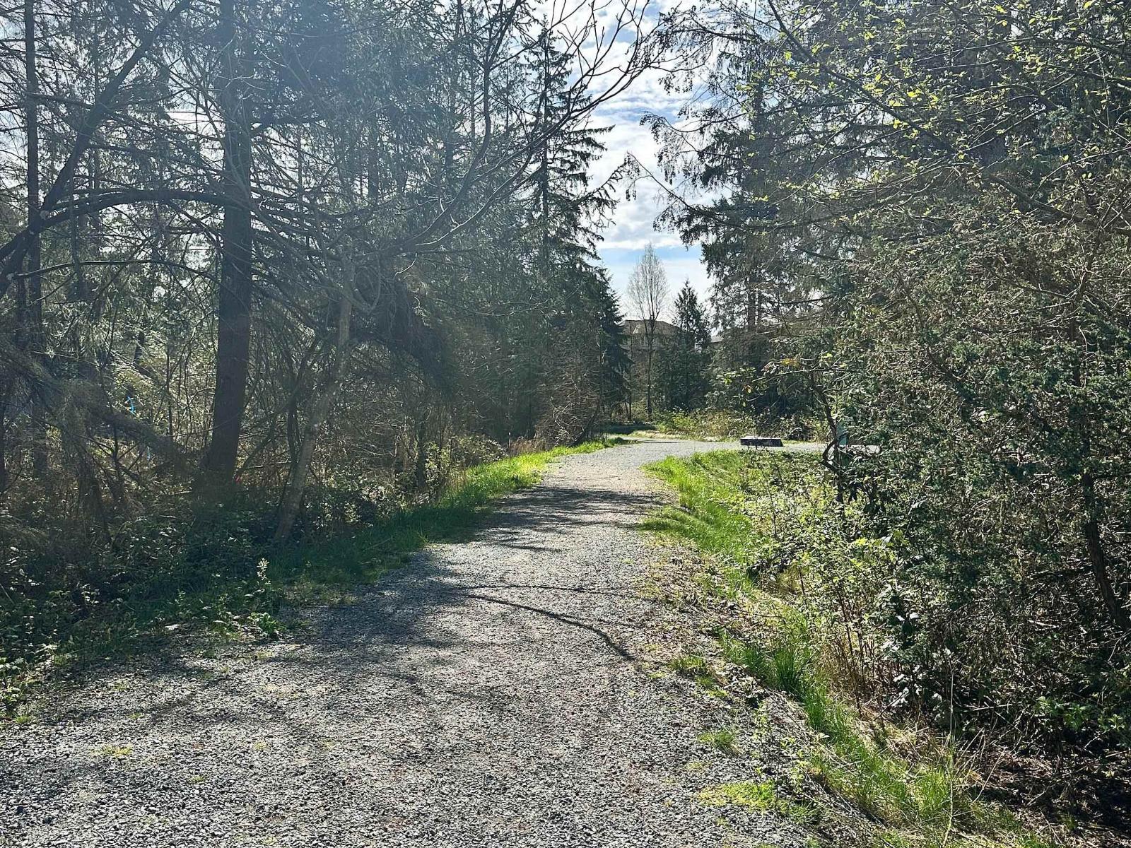 33164 Tunbridge Avenue, Mission, British Columbia  V2V 6X9 - Photo 10 - R3113274