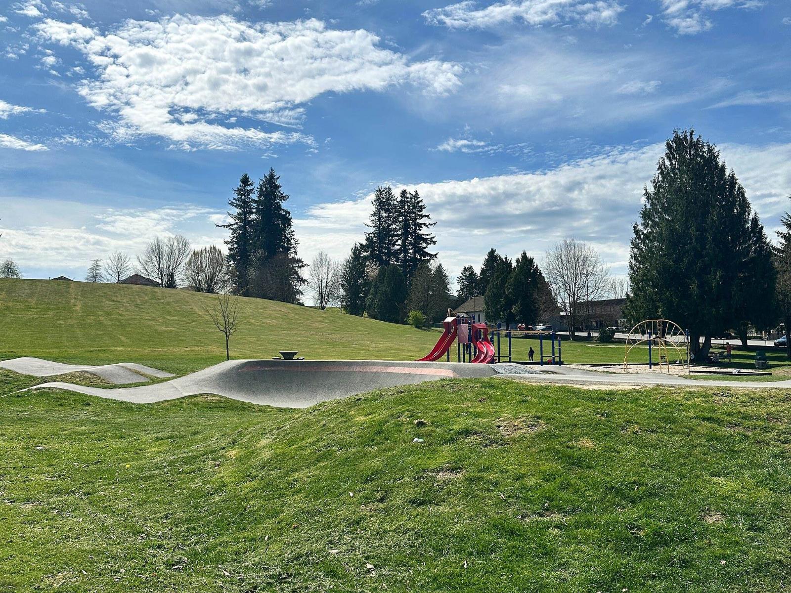 33164 Tunbridge Avenue, Mission, British Columbia  V2V 6X9 - Photo 7 - R3113274