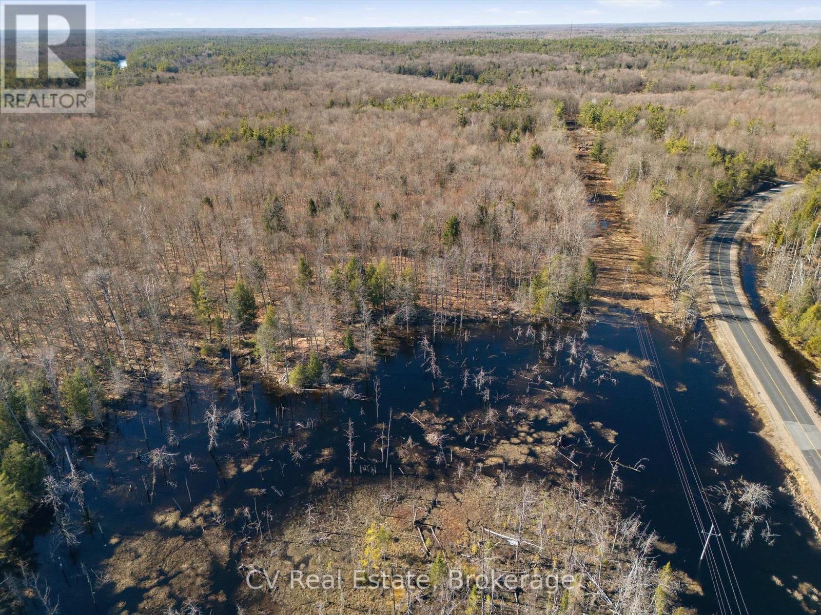 1670 Muskoka Rd 38, Muskoka Lakes, Ontario  P0C 1A0 - Photo 12 - X13022592